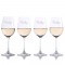 Crystalize White Wine Glasses